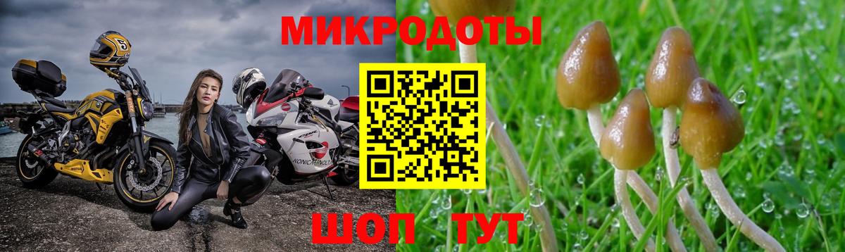 Керчь  Галлюциногенные грибы GOLDEN TEACHER  Вход с VPN 